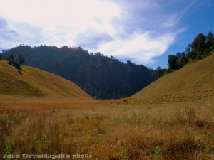 Padang Savana Semeru