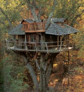 Rumah Pohon Bayangan
